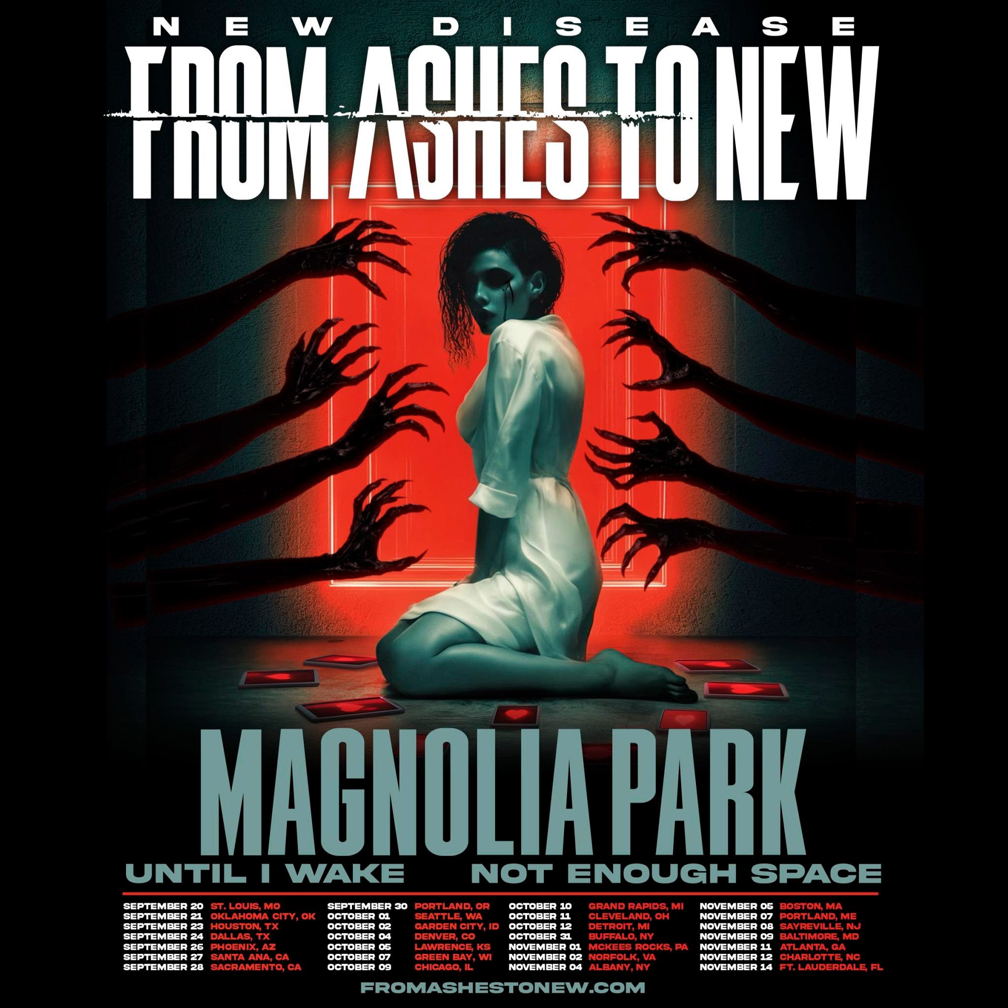 Not Enough Space The New Disease Tour Poster 2025